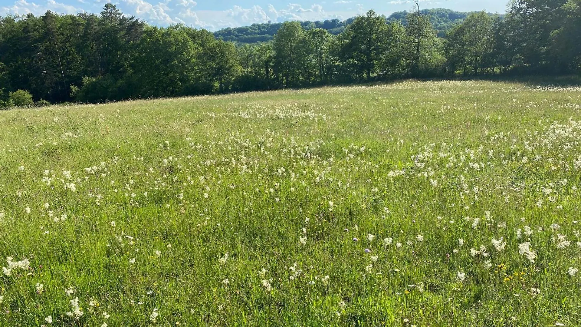 Espace & Nature - Lot- Maison + Annexe Dans Un Cadre Preserve Sur 5Ha Aynac Vakantiehuis