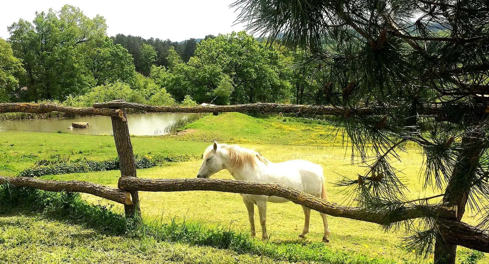 Espace & Nature - Lot- Maison + Annexe Dans Un Cadre Preserve Sur 5Ha Aynac